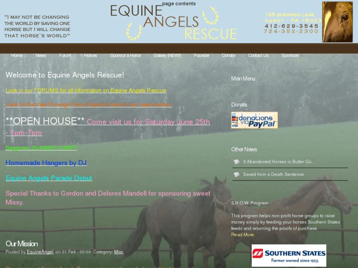 www.equineangelsrescue.com