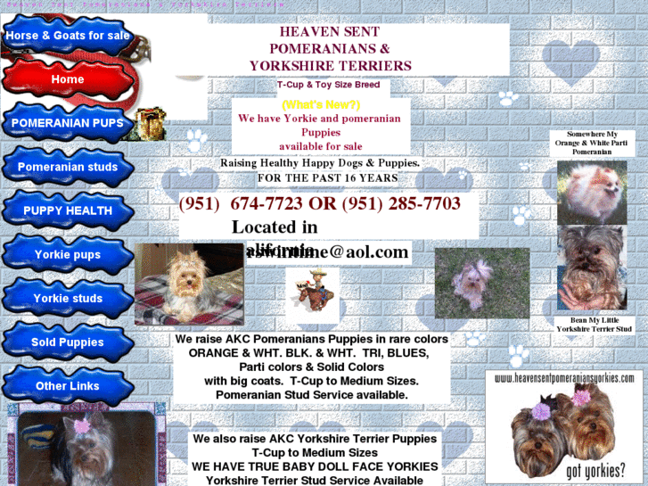 www.heavensentpomeraniansyorkies.com