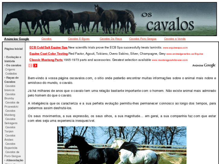 www.oscavalos.com