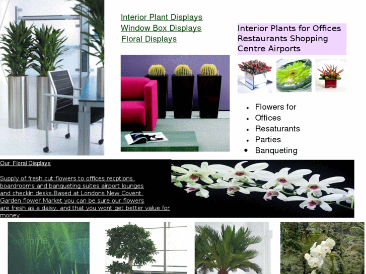 www.plantdisplaysplus.com