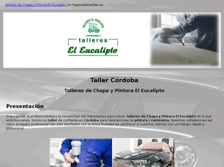 www.tallerdechapaypinturaencordoba.com