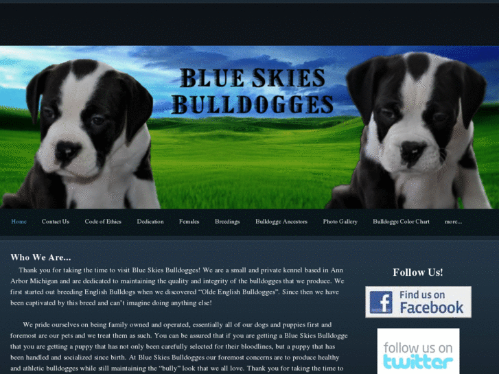 www.blueskiesbulldogges.com