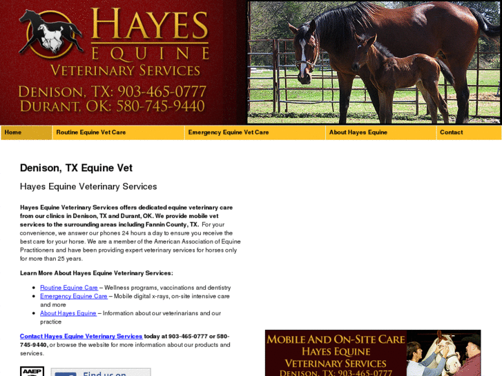 www.hayesequine.com