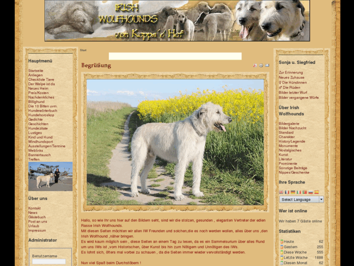 www.irish-wolfhound-koppa.com