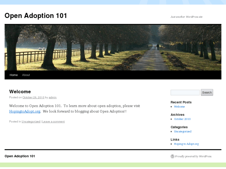 www.openadoption101.com