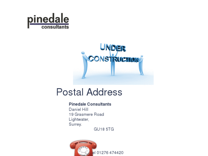 www.pinedaleconsultants.com