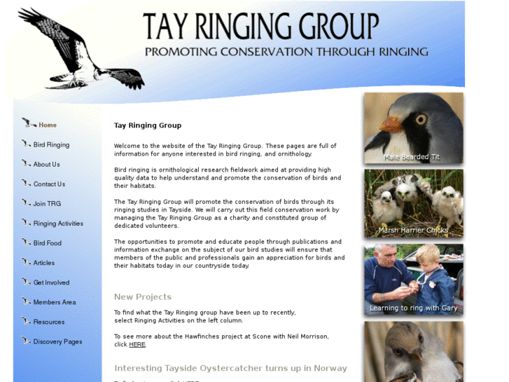 www.tayringinggroup.org