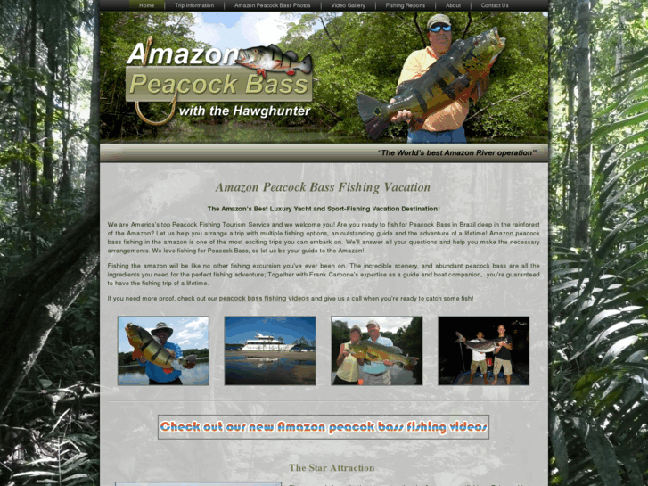 www.amazon-peacock-bass.com