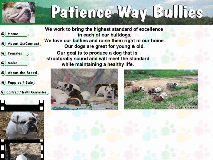 www.patiencewaybullies.com