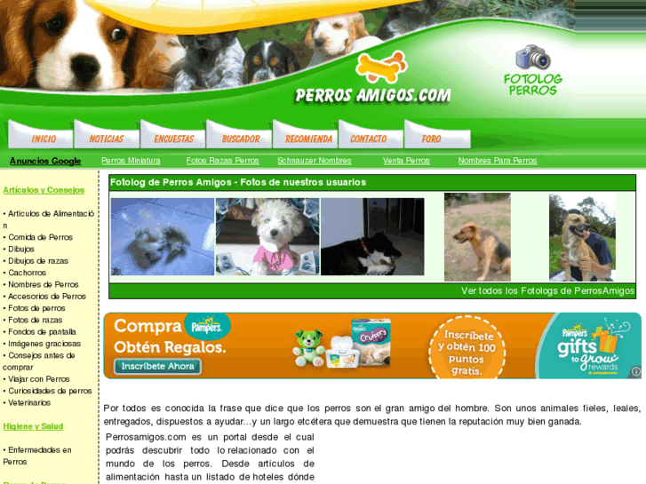 www.perrosamigos.com