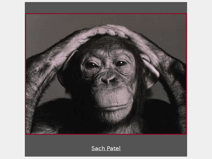 www.sachpatel.com
