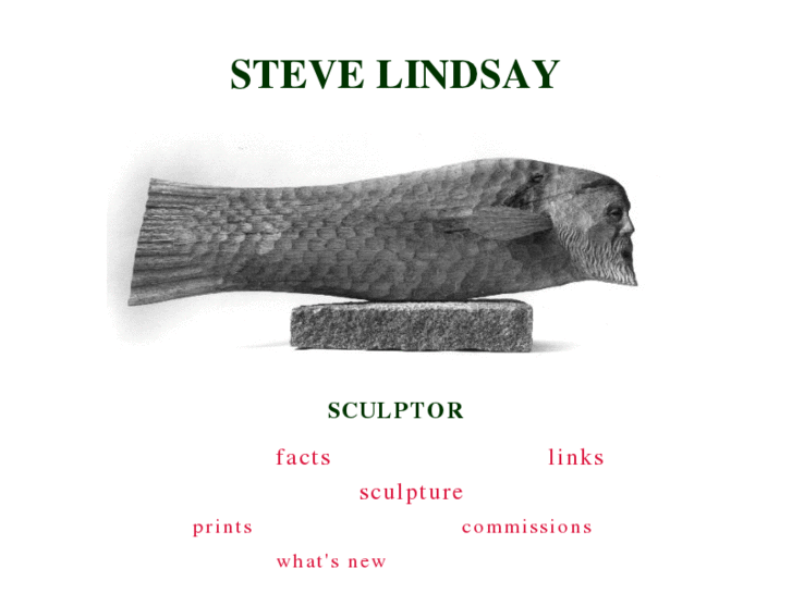 www.stevelindsay.net