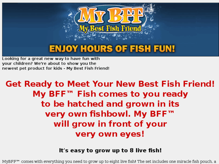 www.bfffish.com