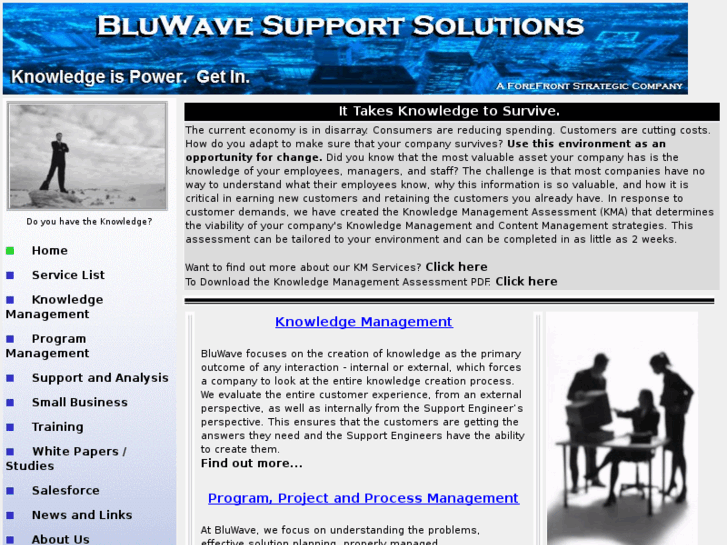 www.bluwavesupportsolutions.com