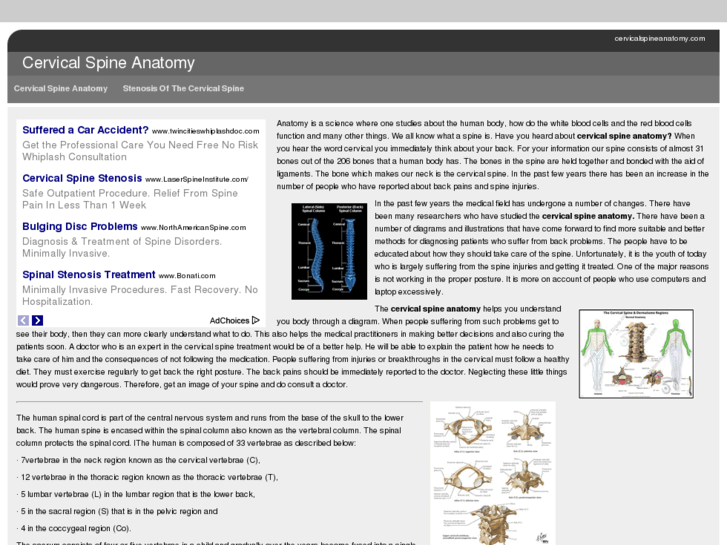 www.cervicalspineanatomy.com