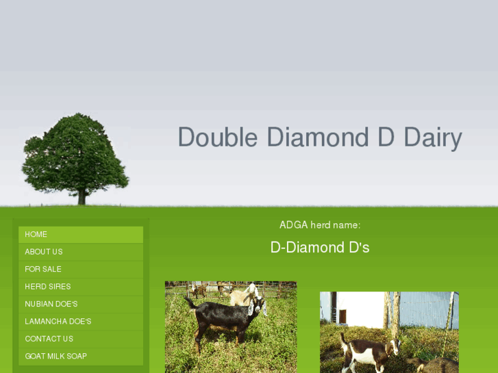 www.doublediamondddairy.com