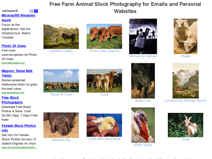 www.farmanimalstockphotography.com