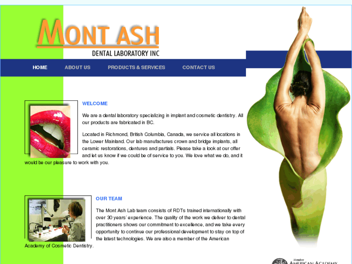 www.montashdental.com