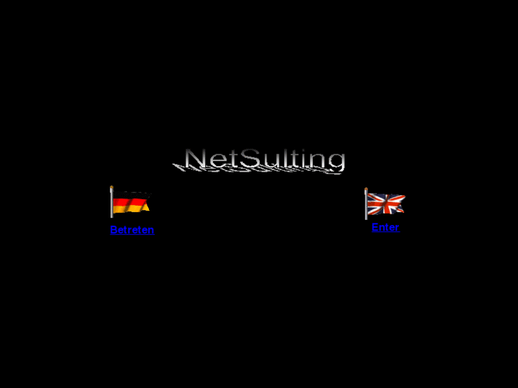 www.netsulting.info