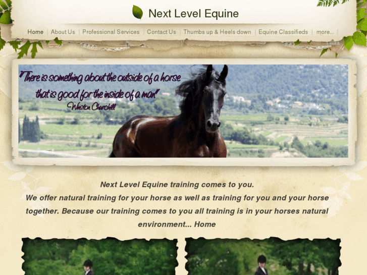 www.nextlevelequine.com