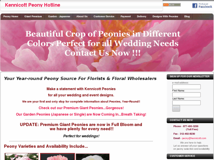 www.floristpeony.com