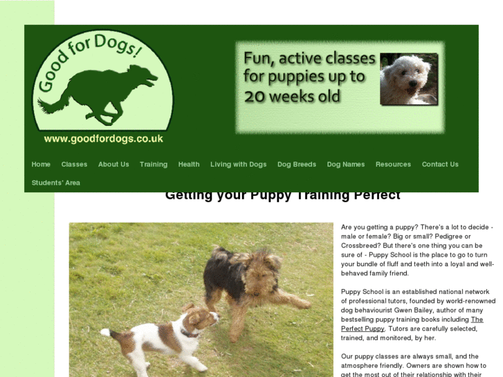 www.goodfordogs.co.uk