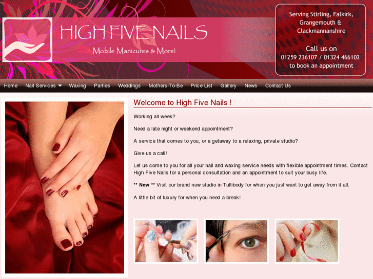 www.highfivenails.com