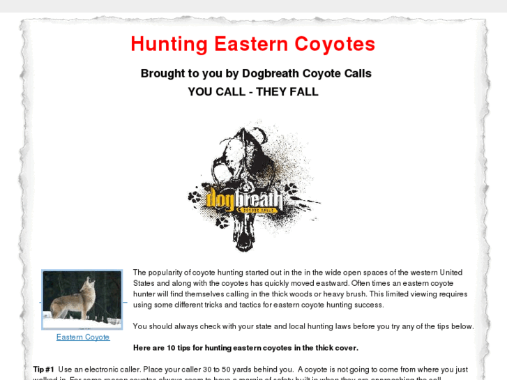 www.huntingeasterncoyotes.com