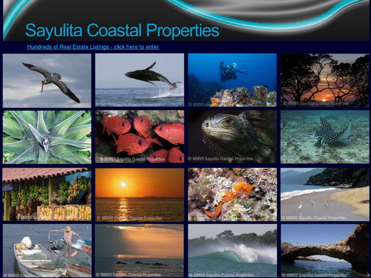 www.sayulitacoastalproperties.com