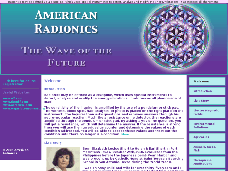 www.americanradionics.net