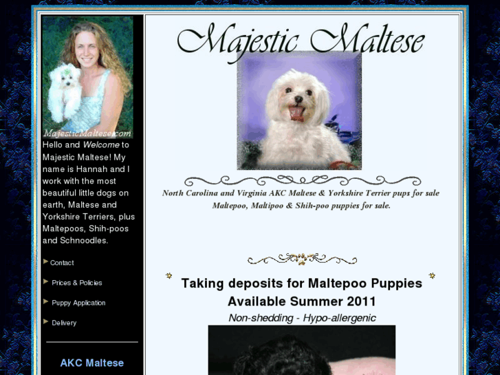 www.majesticmaltese.com