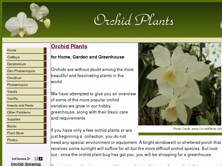 www.orchidplants.info