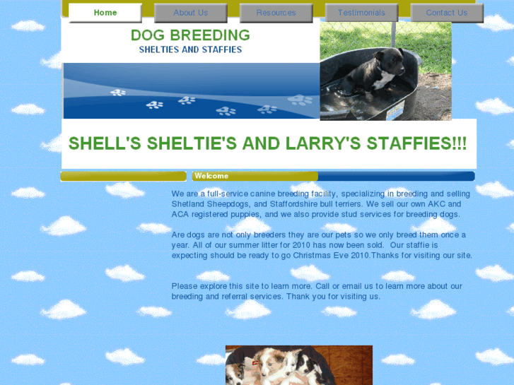 www.shellsshelties.com