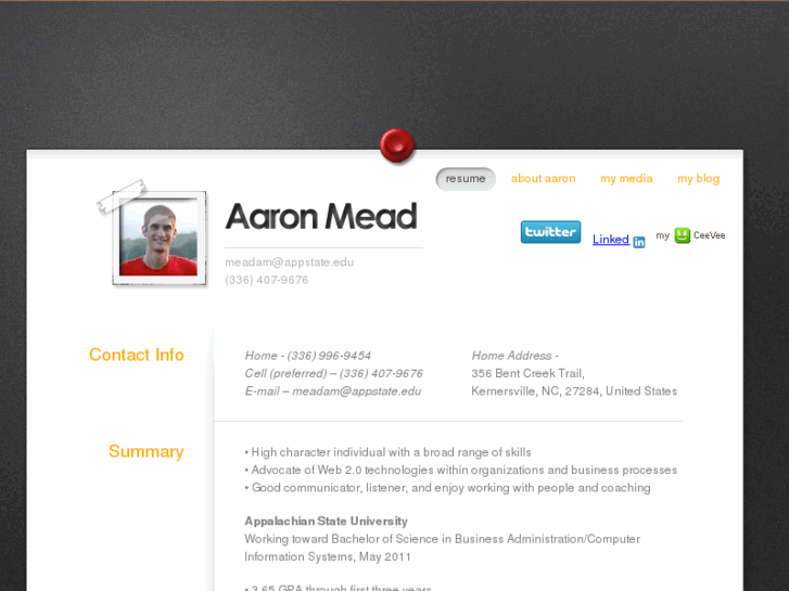 www.aaronmead.com