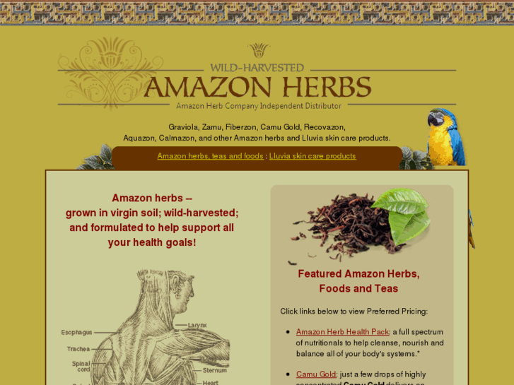 www.amazon-herb.org