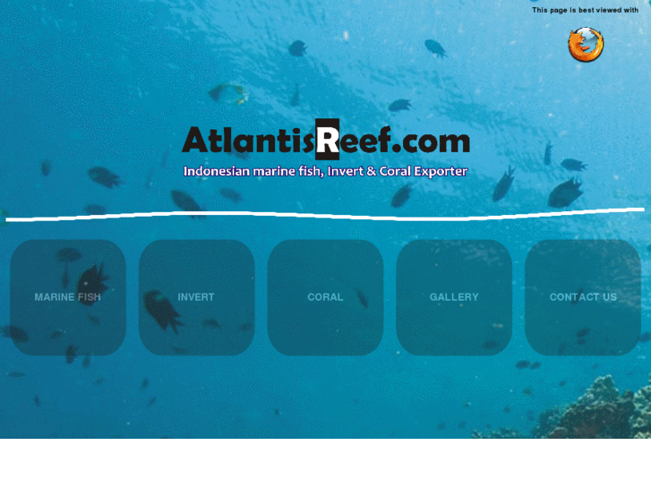 www.atlantisreef.com