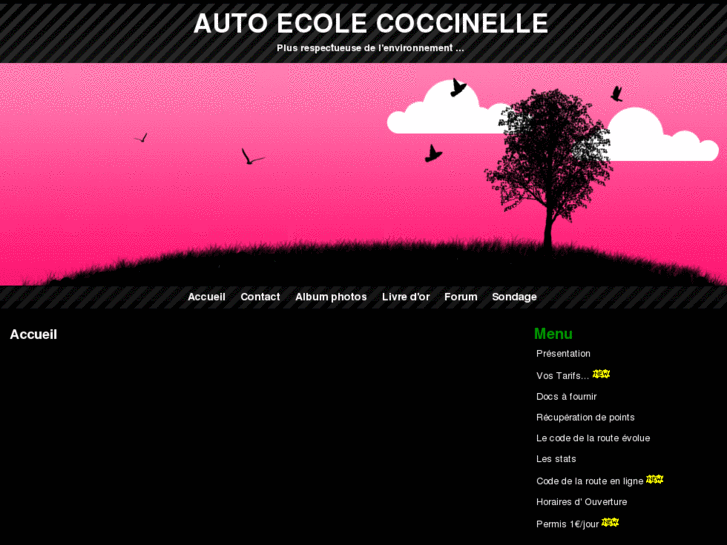 www.autoecolecoccinelle.com