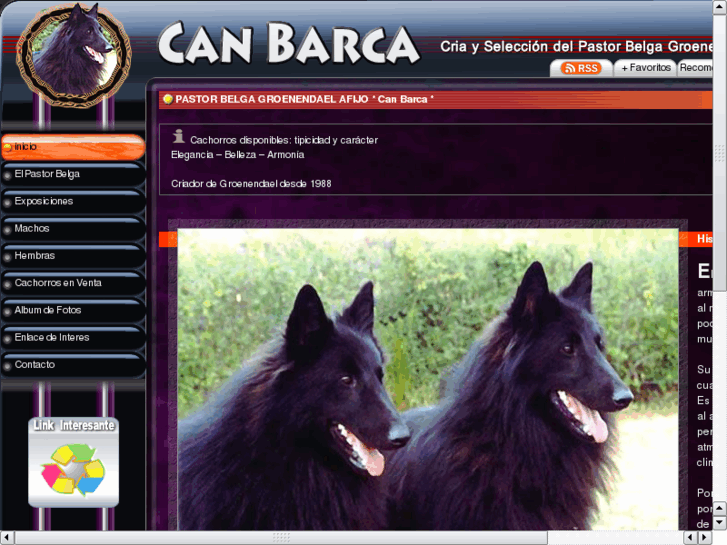 www.canbarca.es