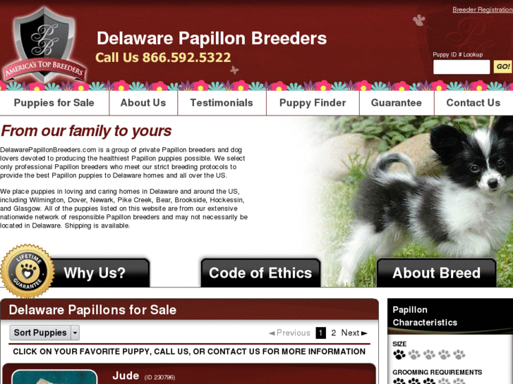 www.delawarepapillonbreeders.com