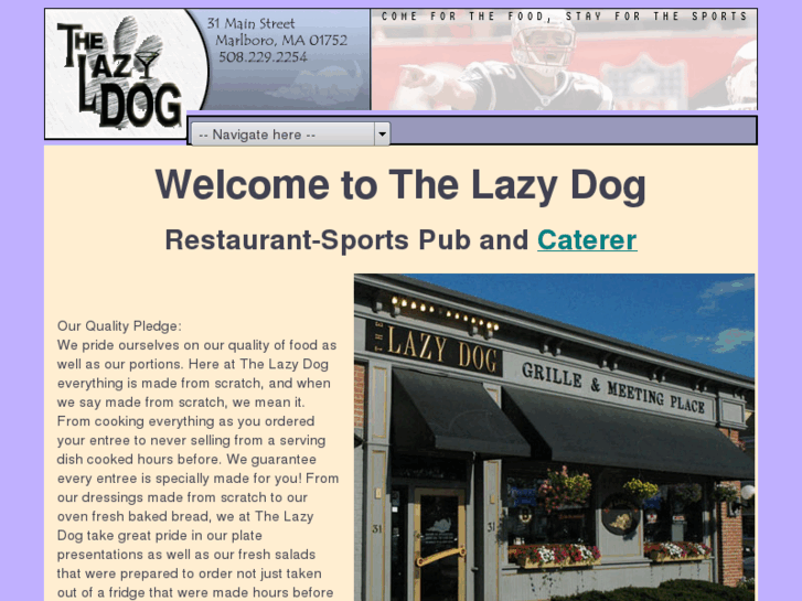 www.doggonelazy.com