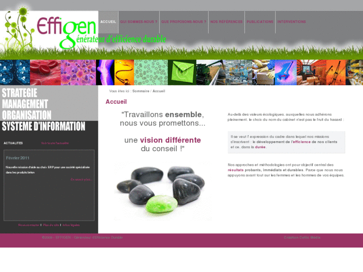 www.effigen.com