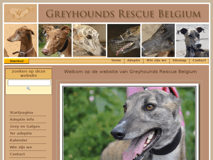 www.greyhoundsrescue.be