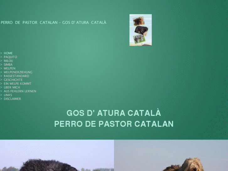 www.perro-de-pastor-catalan.com