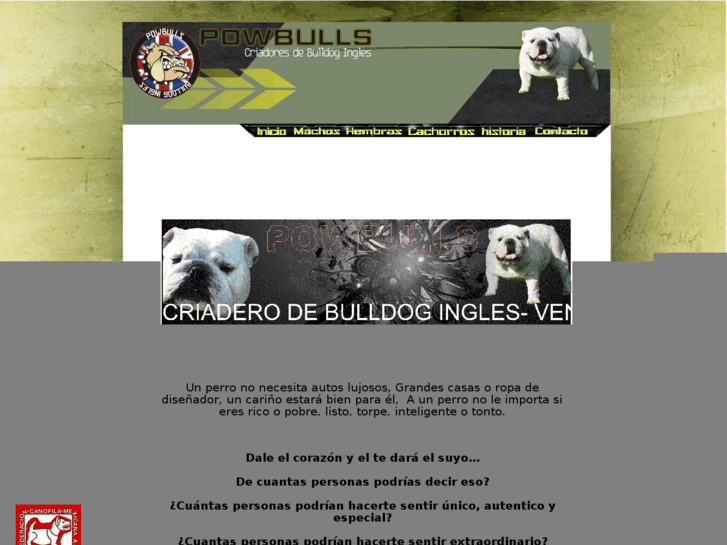 www.powbulls.com