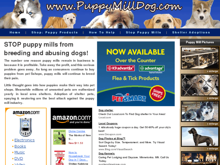 www.puppymilldog.com