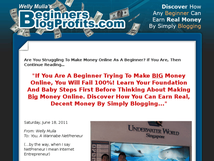 www.beginnersblogprofits.com