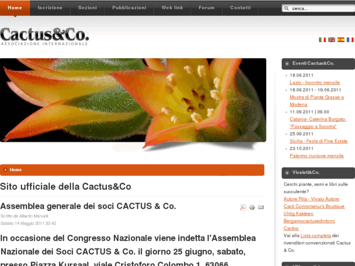 www.cactus-co.com