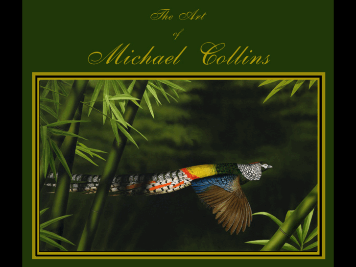 www.michaelcollinsart.com