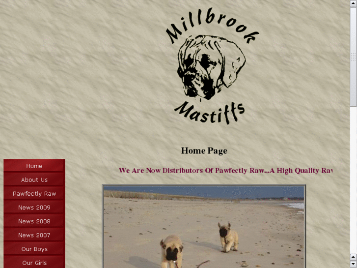 www.millbrookmastiffs.com