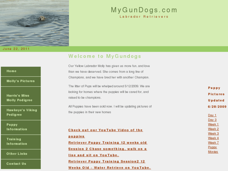 www.mygundogs.com